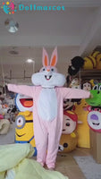Rabbit Costume Mascot