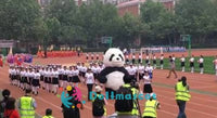 Aldult Inflatable Panda Mascot Costume - dollmascot