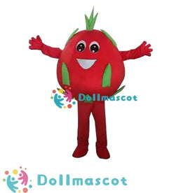 Pitaya Costume Mascot - dollmascot
